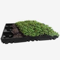 Zelená střecha ECOSEDUM Pack 65 – osázený