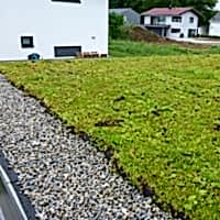 Zelená střecha ECOSEDUM Pack 65 – osázený