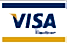 VISA Electron